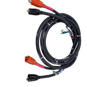 Cable-IV Cable-100A-12FT-I lug to lug-V phnx to algtr